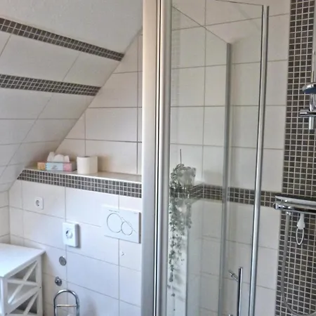 Novotny Апартаменты